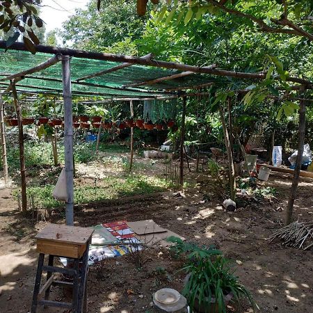 Nguyen Duy Homestay Hoi An Exterior photo