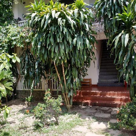 Nguyen Duy Homestay Hoi An Exterior photo