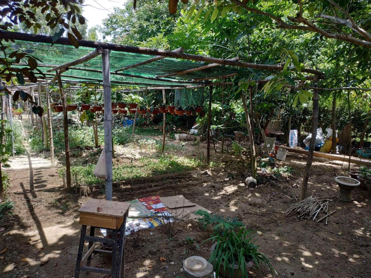 Nguyen Duy Homestay Hoi An Exterior photo