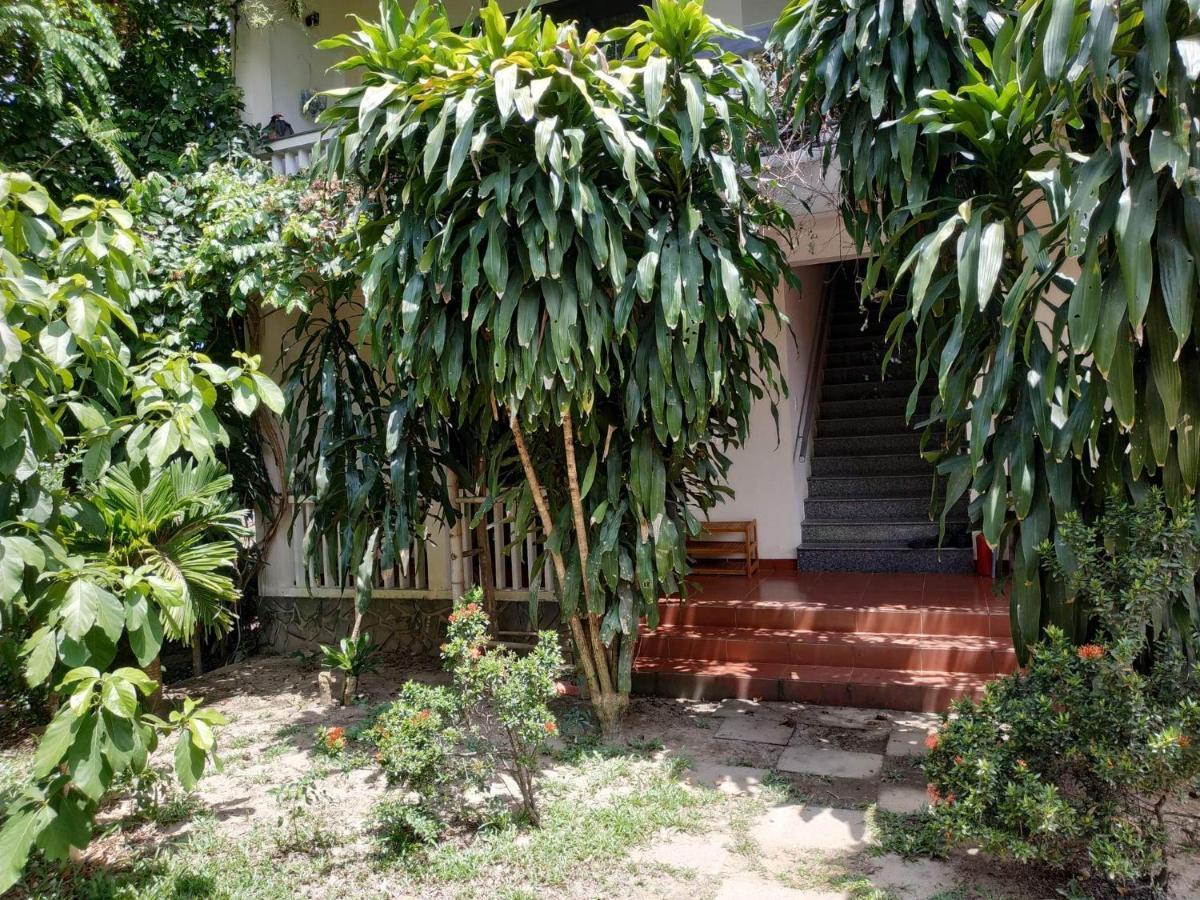 Nguyen Duy Homestay Hoi An Exterior photo